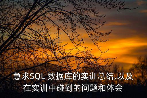 數(shù)據(jù)庫(kù)安全性實(shí)驗(yàn) 報(bào)告
