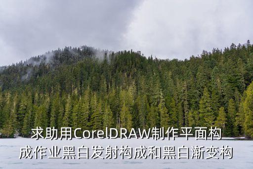 求助用CorelDRAW制作平面構(gòu)成作業(yè)黑白發(fā)射構(gòu)成和黑白漸變構(gòu)