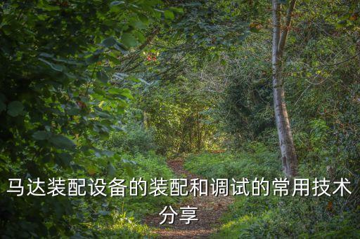 馬達(dá)裝配設(shè)備的裝配和調(diào)試的常用技術(shù)分享