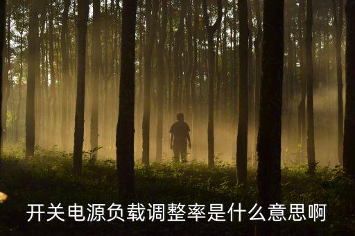 開關電源負載調(diào)整率是什么意思啊