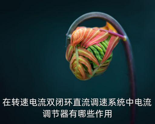 電流調(diào)節(jié)器，電流調(diào)節(jié)器的介紹