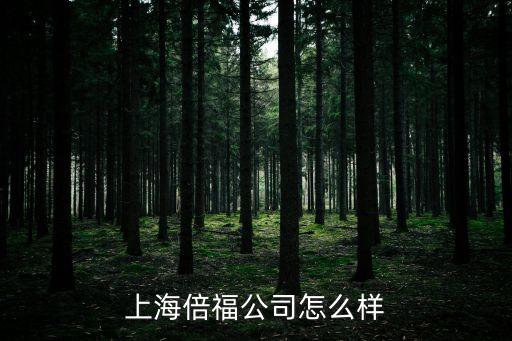倍福，上海倍福公司怎么樣