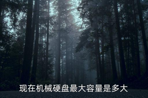 現(xiàn)在機(jī)械硬盤最大容量是多大