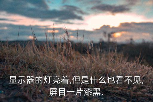 顯示器的燈亮著,但是什么也看不見,屏目一片漆黑.