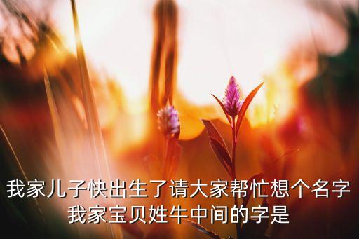 我家兒子快出生了請(qǐng)大家?guī)兔ο雮€(gè)名字我家寶貝姓牛中間的字是