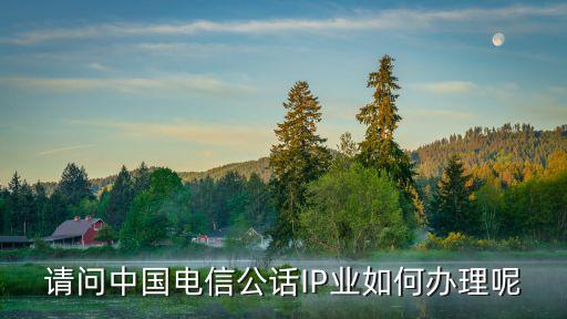請(qǐng)問中國(guó)電信公話IP業(yè)如何辦理呢