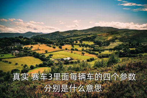  真實(shí) 賽車3里面每輛車的四個參數(shù)分別是什么意思