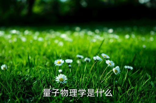量子物理學(xué)，量子物理學(xué)是指