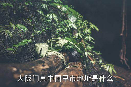 大阪門(mén)真中國(guó)早市地址是什么
