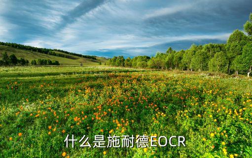 什么是施耐德EOCR