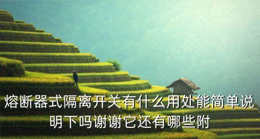 熔斷器式隔離開關(guān)有什么用處能簡(jiǎn)單說明下嗎謝謝它還有哪些附
