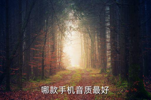 什么手機(jī)音質(zhì)最好，什么牌子手機(jī)音質(zhì)最好