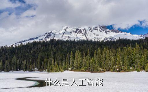 人工ai，什么是人工智能