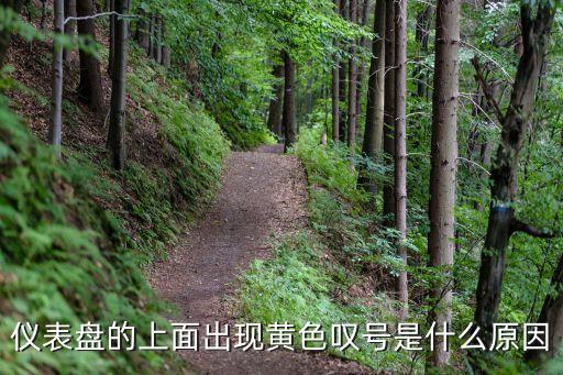 儀表盤的上面出現(xiàn)黃色嘆號是什么原因