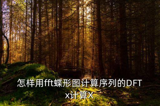 蝶形運(yùn)算，誰能幫我解釋下FPGA上的蝶形運(yùn)算具體是什么意思嘛