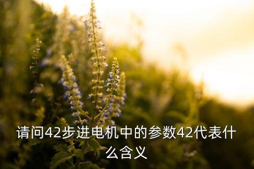 請(qǐng)問42步進(jìn)電機(jī)中的參數(shù)42代表什么含義