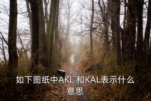 kal，如下圖紙中AKL 和KAL表示什么意思