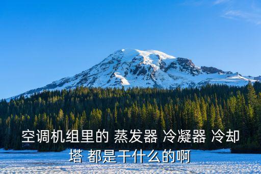 空調(diào)機(jī)組里的 蒸發(fā)器 冷凝器 冷卻塔 都是干什么的啊