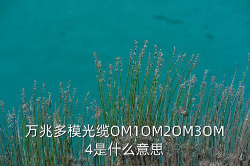 萬兆多模光纜OM1OM2OM3OM4是什么意思