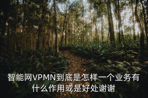 智能網(wǎng)VPMN到底是怎樣一個(gè)業(yè)務(wù)有什么作用或是好處謝謝