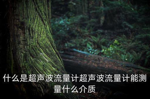 什么是超聲波流量計超聲波流量計能測量什么介質(zhì)
