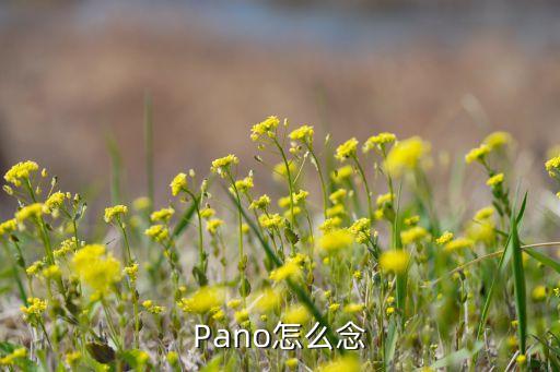 pano，Pano怎么念