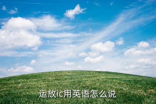 運放ic用英語怎么說
