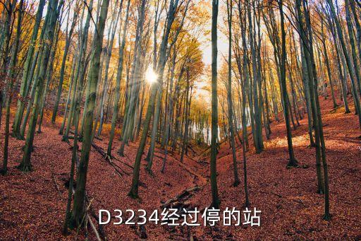 d3234，D3234經(jīng)過停的站