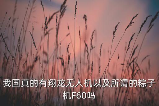 我國真的有翔龍無人機以及所謂的粽子機F60嗎