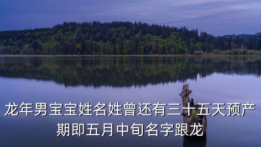 龍年男寶寶姓名姓曾還有三十五天預(yù)產(chǎn)期即五月中旬名字跟龍
