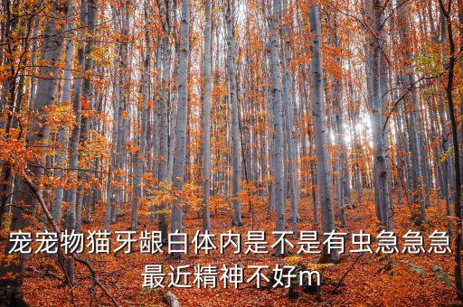 tmal，淘寶tmal雙11l活動(dòng)什么時(shí)候買(mǎi)