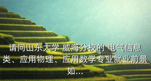 請問山東大學 威海分校的 電氣信息類、應用物理、應用數(shù)學專業(yè)就業(yè)前景如...