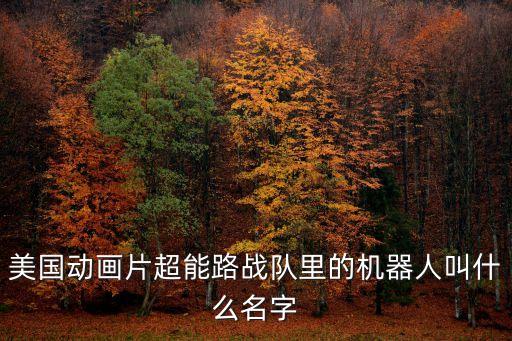 美國動(dòng)畫片超能路戰(zhàn)隊(duì)里的機(jī)器人叫什么名字