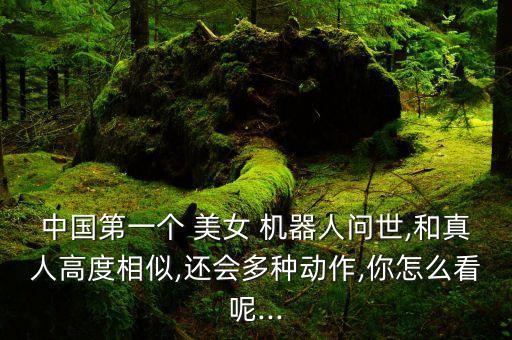 中國第一個 美女 機器人問世,和真人高度相似,還會多種動作,你怎么看呢...