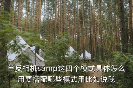 單反相機(jī)samp這四個(gè)模式具體怎么用要搭配哪些模式用比如說(shuō)我
