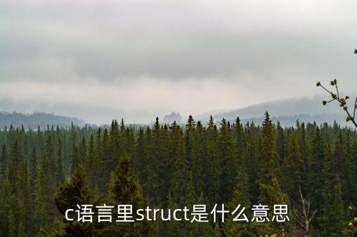 c語言里struct是什么意思