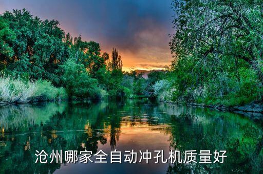 滄州哪家全自動沖孔機質(zhì)量好