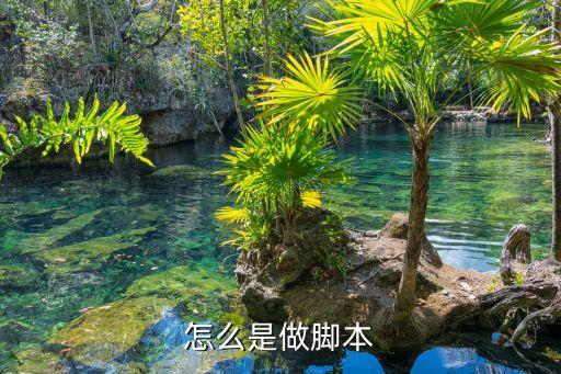 怎么是做腳本