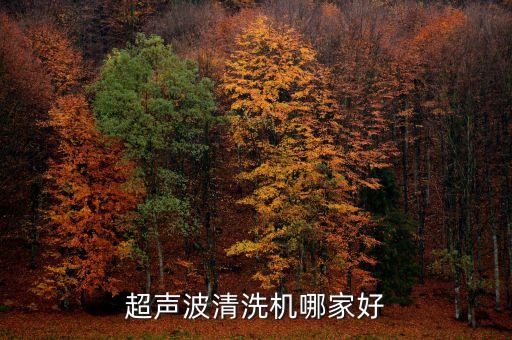 自動(dòng)化訂洗水標(biāo)標(biāo)縫紉設(shè)備