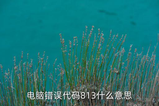 電腦錯(cuò)誤代碼813什么意思