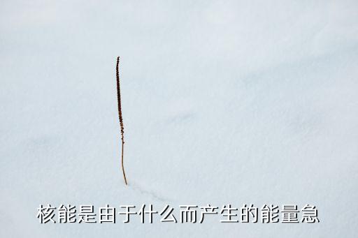 核能是由于什么而產生的能量急