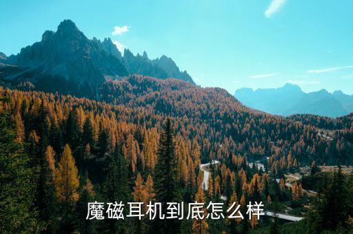 魔磁耳機(jī)到底怎么樣