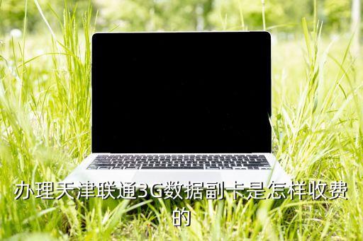 聯(lián)通副卡怎么收費(fèi)，辦理天津聯(lián)通3G數(shù)據(jù)副卡是怎樣收費(fèi)的
