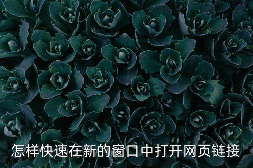 怎樣快速在新的窗口中打開網(wǎng)頁(yè)鏈接