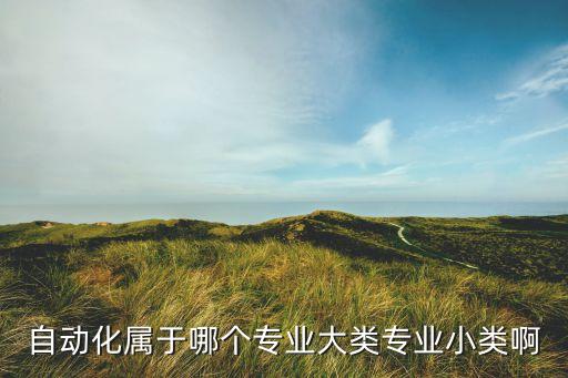 自動(dòng)化屬于哪個(gè)專業(yè)大類(lèi)專業(yè)小類(lèi)啊