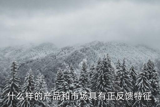什么樣的產(chǎn)品和市場具有正反饋特征