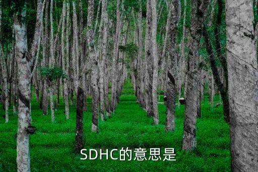 sdhc，請(qǐng)問(wèn)SD卡的 sdhc 是什么意思