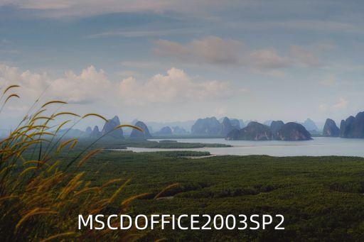 MSCDOFFICE2003SP2