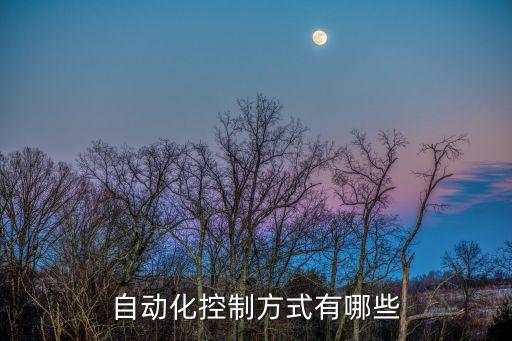 自動化控制方式有哪些