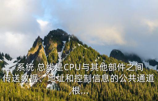 系統(tǒng)總線